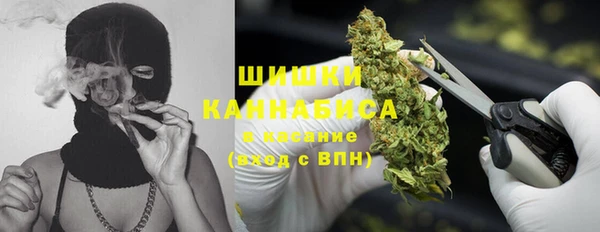 амф Краснослободск