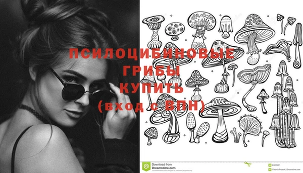 амф Краснослободск